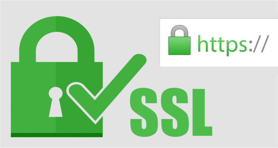 Certificado SSL: La Clave para Navegar Seguro en Internet